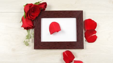 Red-rose-petal-falling-on-the-photo-frame-4k