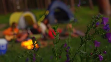 Friends-having-fun-near-campfire-in-the-forest-4k