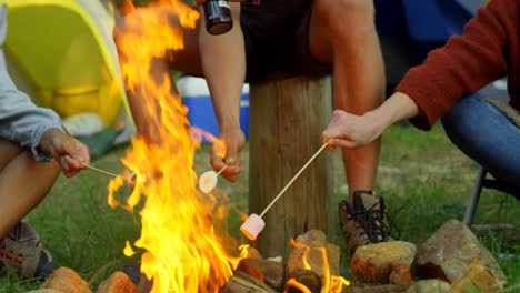 Friends-roasting-marshmallow-on-campfire-4k