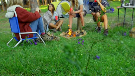 Friends-having-fun-near-bonfire-in-the-forest-4k