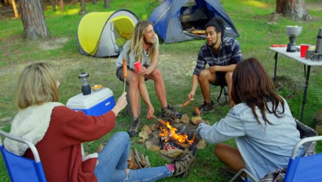 Friends-roasting-hot-dog-on-campfire-4k
