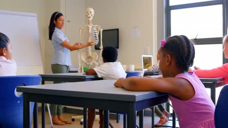 Asian-female-teacher-explaining-about-skeleton-model-in-classroom-4k