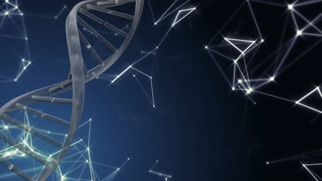 Spinnende-DNA-Mit-Datenverbindungen