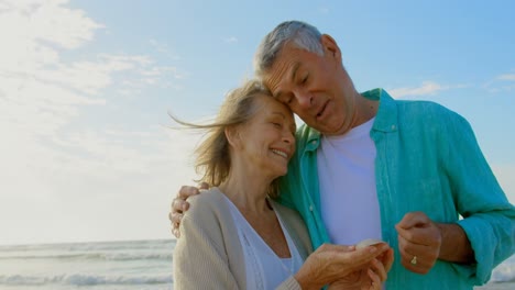 Front-view-of-active-senior-Caucasian-couple-holding-seashell-on-the-beach-4k