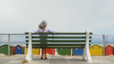 Rear-view-of-active-senior-African-American-woman-relaxing-on-bench-at-promenade-4k