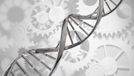 Double-helix-DNA-and-gears