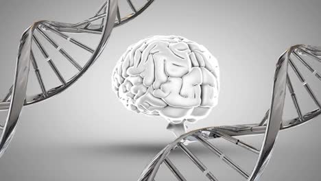 Menschliches-Gehirn-Und-DNA
