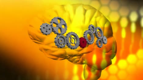Human-brain-and-gears