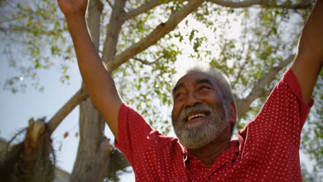 Low-Angle-Ansicht-Eines-Aktiven-Afroamerikanischen-älteren-Mannes,-Der-Im-Garten-Des-Pflegeheims-4-Yoga-Macht