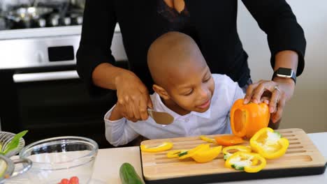 Madre-E-Hijo-Cortando-Verduras-En-La-Cocina-De-Casa-4k