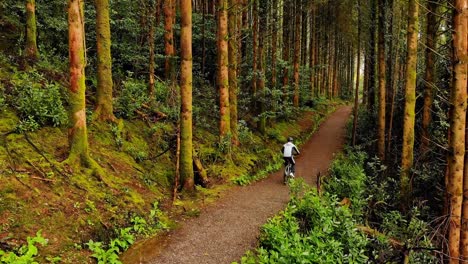 Man-cycling-on-a-pathway-in-forest-4k