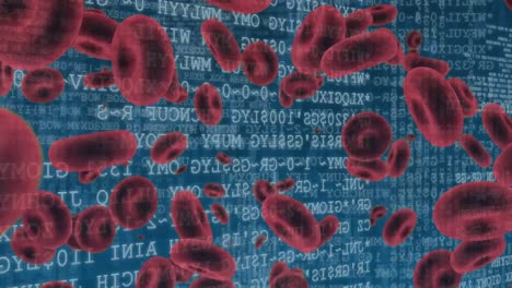 Rote-Blutkörperchen-Und-Binäre-Codes