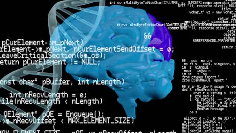 Gehirn-Und-DNA-Helix-Mit-Programmcodes