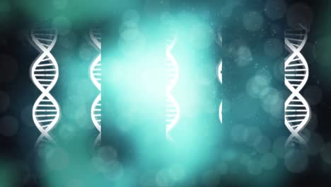 Rotierende-DNA-Helix