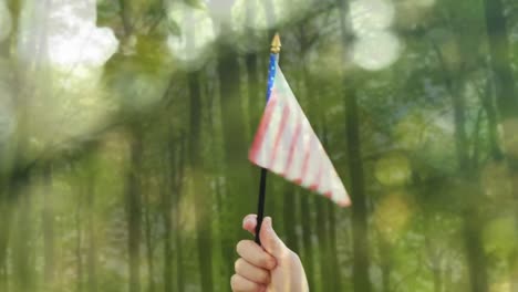Hand-Hält-Amerikanische-Flagge-Im-Wald