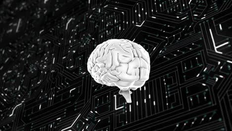 Cerebro-Gris-Girando-Sobre-La-Placa-De-Circuito-De-La-Computadora