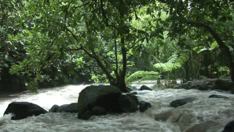 Stock-Footage-Tropische-Flussstromschnellen