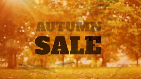 Autumn-sale-graphic-with-falling-leaves-in-the-background