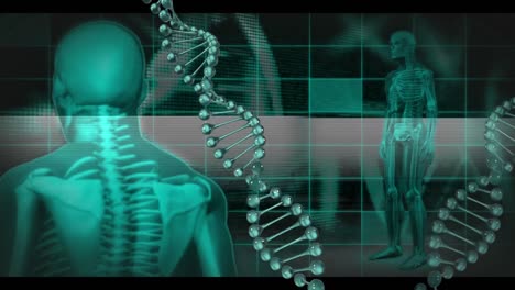 Menschlicher-Körper,-DNA-Und-Medizinische-Daten