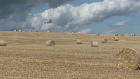 Stock-Footage-A-field-of-Hay-bales