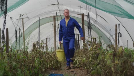 Mature-man-working-on-farm