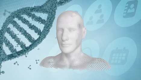Bewegliche-Menschliche-Büste-Mit-DNA-Strang