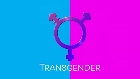 Transgender-Text-Und--Symbol-Auf-Rosa-Und-Blauem-Hintergrund