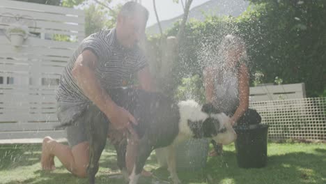 Couple-washing-dog-in-their-garden-