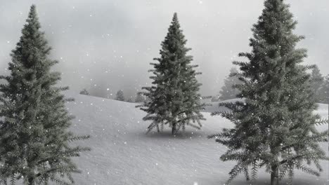 Nieve-Cayendo-Y-Abetos