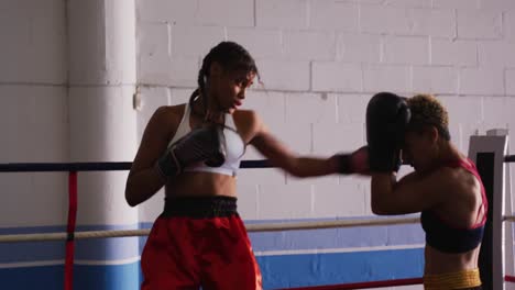 Two-mixed-race-women-training-in-boxing-ring