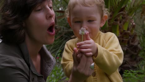 Caucasian-woman-blowing-on-flower-with-baby-in-garden