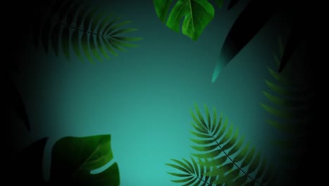 Animation-Von-Wassertropfen-Auf-Grünem-Hintergrund,-Umgeben-Von-Blättern