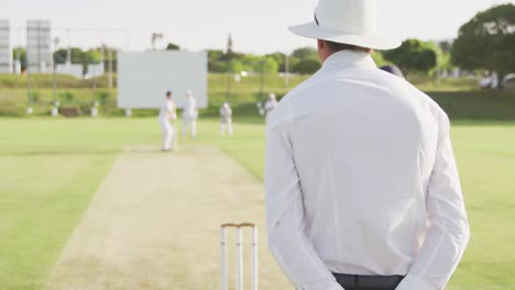 Rear-view-of-cricket-payer-throwing-a-ball