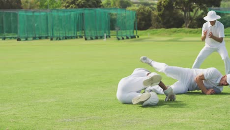 Cricket-players-catching-the-ball-in-the-pitch