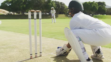 Cricketspieler-Fängt-Den-Ball-Und-Zerstört-Die-Briefmarken