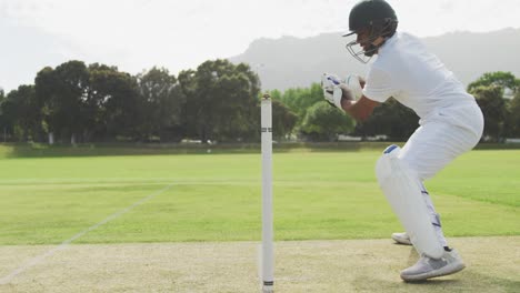 Seitenansicht-Eines-Cricketspielers,-Der-Den-Ball-Fängt