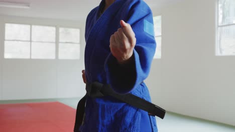 Karateka-posing-and-punching-on-the-mat