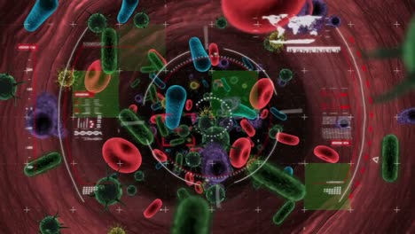 Animación-De-Glóbulos-Rojos,-Bacterias-Y-Virus-Corona