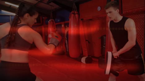 Animation-of-data-processing-with-female-athlete-boxer-kicking