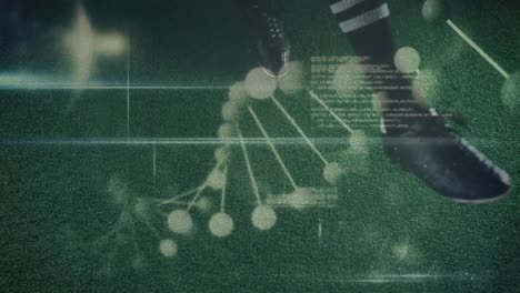 Animation-Eines-Sich-Drehenden-DNA-Strangs-Mit-Einem-Rugbyspieler,-Der-Einen-Ball-Tritt