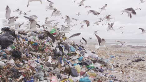 Vögel-Fliegen-über-Müll,-Der-Auf-Einer-Mülldeponie-Gestapelt-Ist