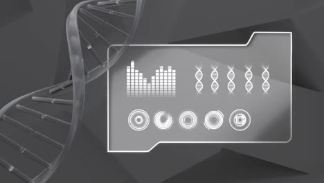 Animation-Des-Spinnens-Eines-Doppelhelix-DNA-Strangs-Mit-Datenverarbeitung
