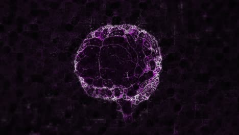 Animation-Eines-Digitalen,-Leuchtend-Violetten,-Sich-Drehenden-Menschlichen-3D-Gehirns