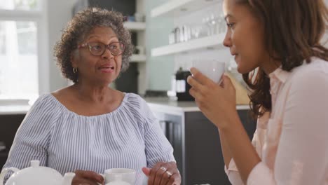Ältere-Frau-Mit-Gemischter-Rasse-Trinkt-Tee-Mit-Ihrer-Tochter-In-Sozialer-Distanzierung