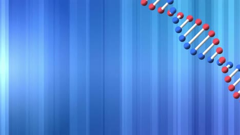 Animation-Eines-Doppelhelix-DNA-Strangs,-Der-Sich-über-Blauen-Streifen-Dreht,-Die-Im-Hintergrund-Flackern
