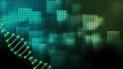Animation-Eines-DNA-Strangs,-Der-Sich-über-Leuchtend-Grüne-Quadrate-Dreht,-Die-Im-Hintergrund-Schweben