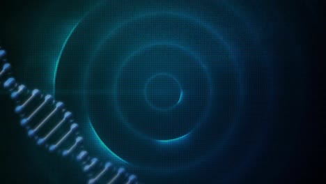 Animation-Eines-Doppelhelix-DNA-Strangs,-Der-über-Mehreren-Blauen-Kreisen-Im-Hintergrund-Rotiert