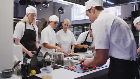 Multi-ethnic-chefs-in-a-restaurant-kitchen-standing-at-a-counter-top-and-preparing-food-