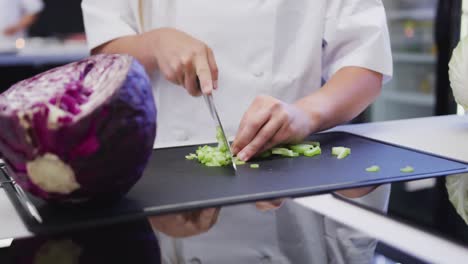 Caucasian-female-cook-working-in-a-restaurant-kitchen,slicing-celery-on-a-cutting-board