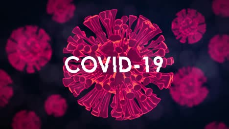 Animation-of-the-word-Covid-19-written-in-white-on-3d-pink-glowing-coronavirus-cells-spreading-on-bl
